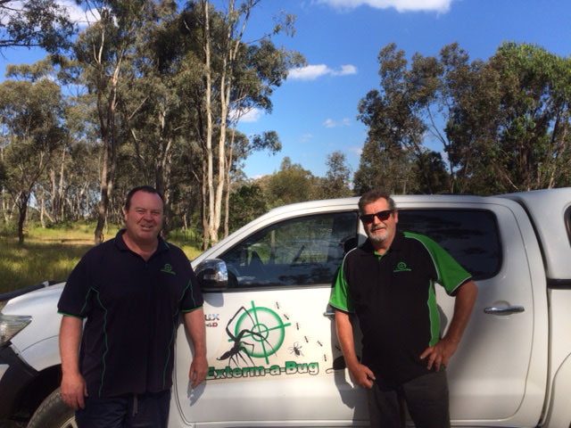 Pest Control Bendigo, Bendigo Pest Control, Termite Control Bendigo, Pest Control Echuca, Pest Control Castlemaine, Pest Inspection Bendigo, Pest Control Kilmore, Exterm A Bug, Termite Control Echuca, Termite Control Castlemaine